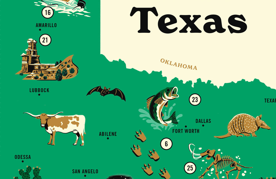 Iconic Parks of Texas Map Poster