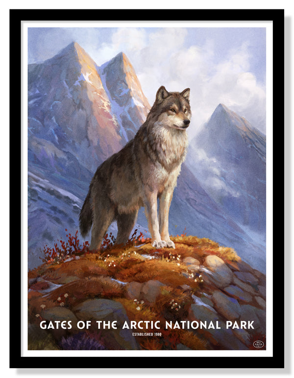 Gates of The Arctic National Park Poster
