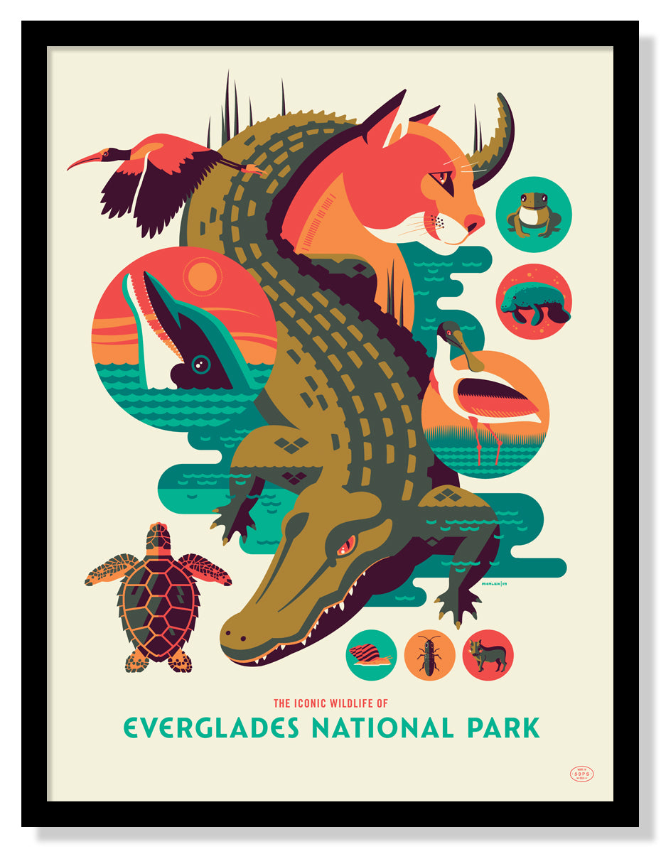 Iconic Wildlife of Everglades National Park Poster