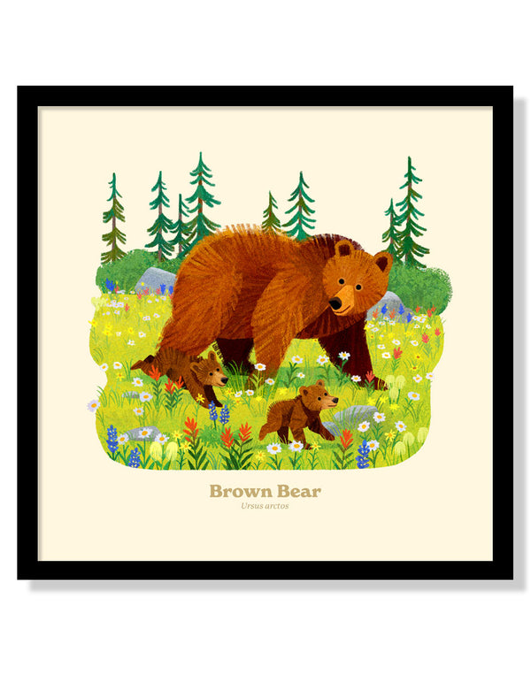 Brown Bear National Park Alphabet Print