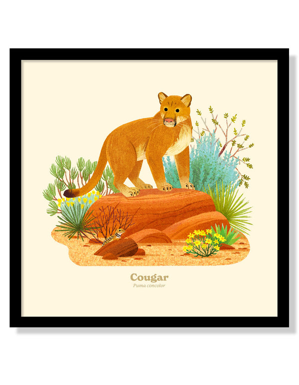 Cougar National Park Alphabet Print