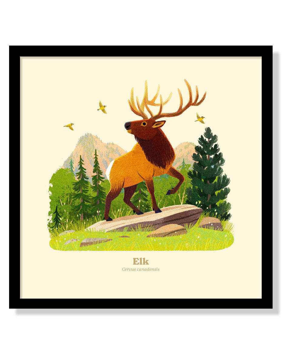 Elk National Park Alphabet Print