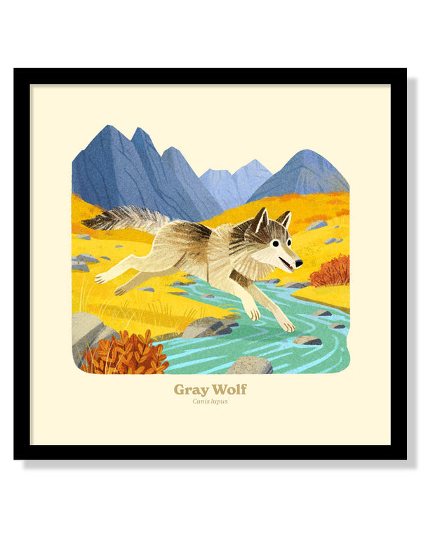 Gray Wolf National Park Alphabet Print