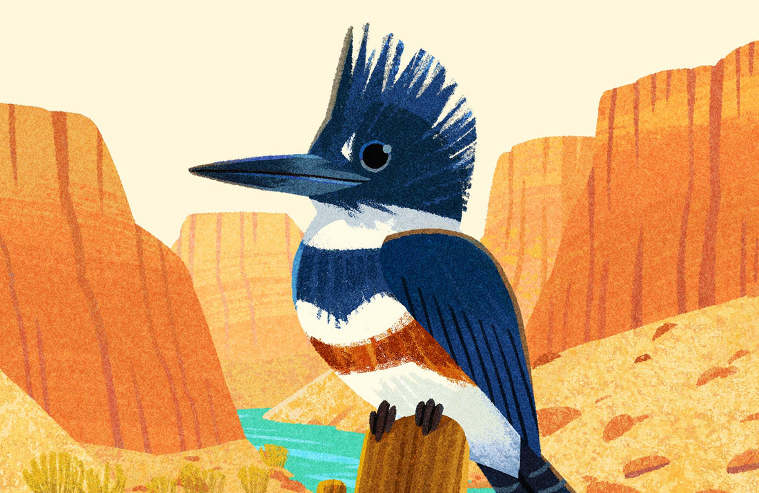 Kingfisher National Park Alphabet Print