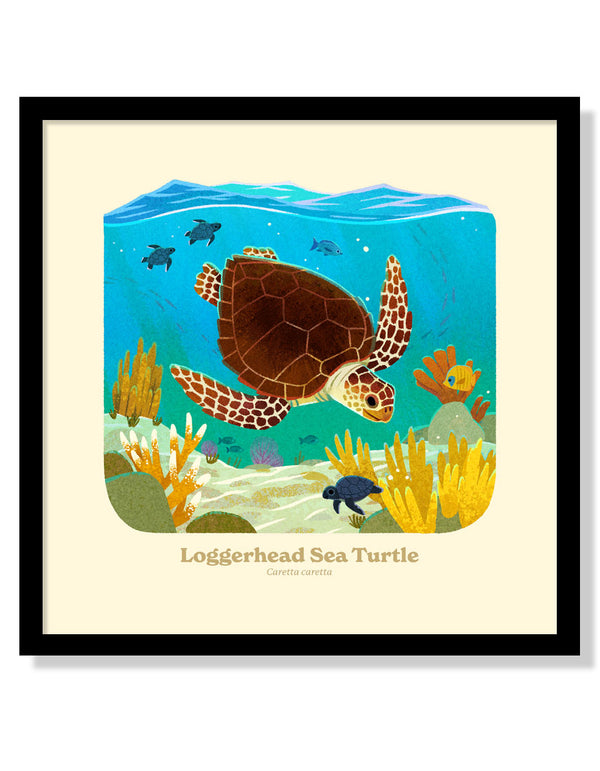 Loggerhead Sea Turtle National Park Alphabet Print