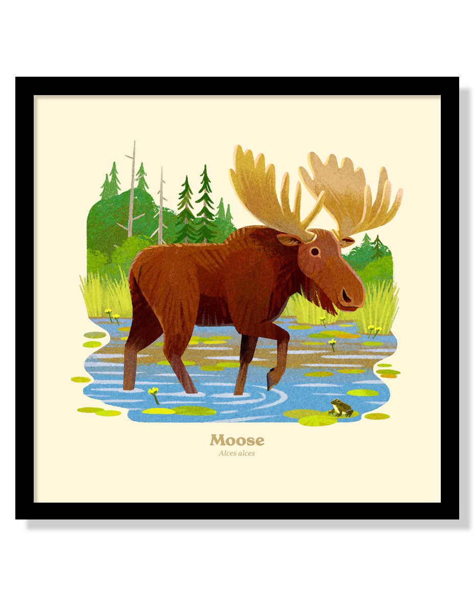 Moose National Park Alphabet Print