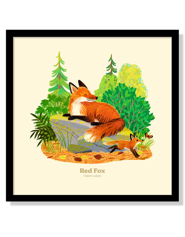 Red Fox National Park Alphabet Print