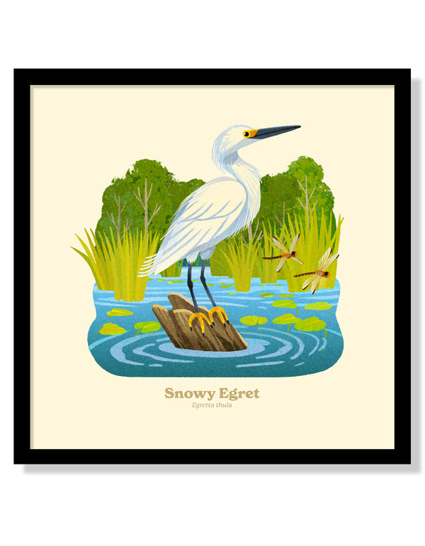 Snowy Egret National Park Alphabet Print