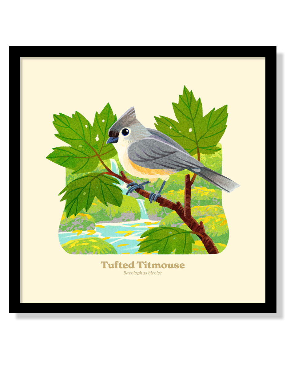 Tufted Titmouse National Park Alphabet Print