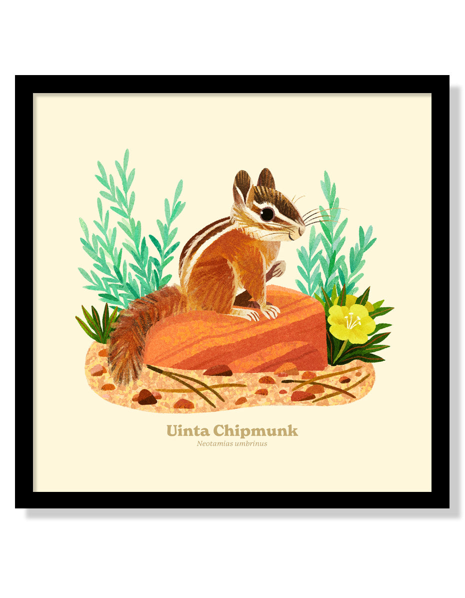 Uinta Chipmunk National Park Alphabet Print