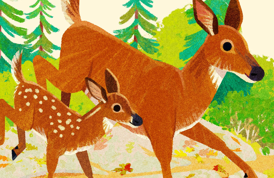 White-Tailed Deer National Park Alphabet Print