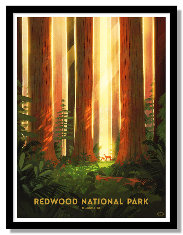 Redwood National Park Poster (Doe)