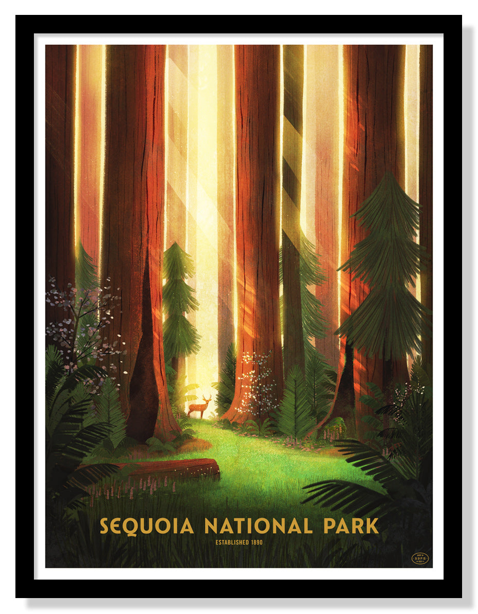 Sequoia National Park (Large Timed Edition)