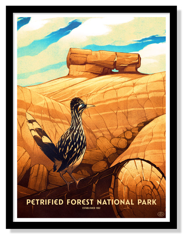Petrified Forest National Park Poster (Large Timed Edition)